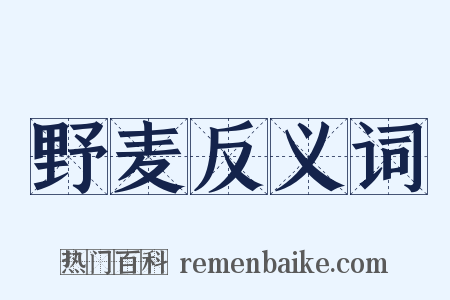 野麦反义词是什么意思的图片